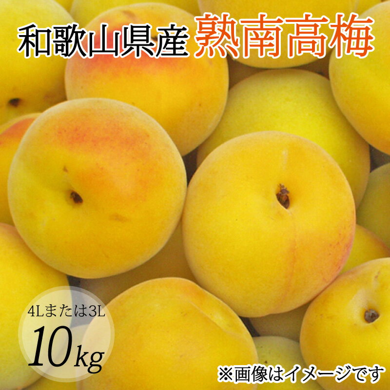 【ふるさと納税】 【梅干・梅酒用】（4Lまたは3L−10kg）熟南高梅＜2026年6月上旬〜7月上旬ごろに順次発送予定＞(お届け指定日不可)
