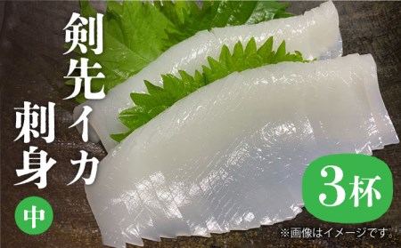 剣先イカ 刺身（中）3杯《壱岐市》[JEW003] 刺身 刺身 刺身 刺身 刺身