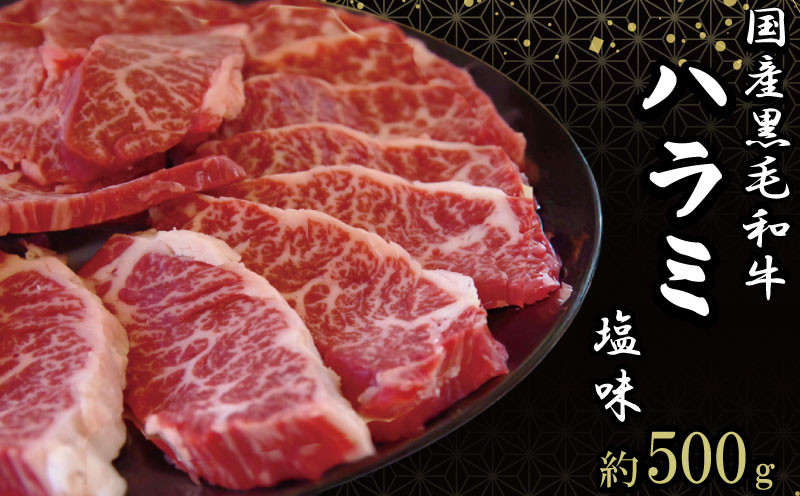 
             ハラミ 国産 冷凍 黒毛和牛 500g 特選 黒毛和牛 牛肉 焼肉 焼き肉 精肉 希少部位 BBQ はらみ 塩 味
          
