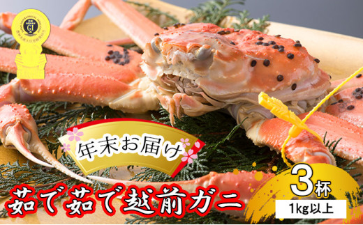 
茹で越前ガニ【年末お届け】食通もうなる本場の味をぜひ、ご堪能ください。約1kg以上×3杯 越前がに 越前かに 越前カニ ずわいがに かに カニ ボイルガニ [№5580-0594]
