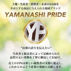 フルーツ王国山梨産厳選 シャインマスカット 1房(約500-600g)YAMANASHI PRIDE【配送不可地域：離島】【1501766】