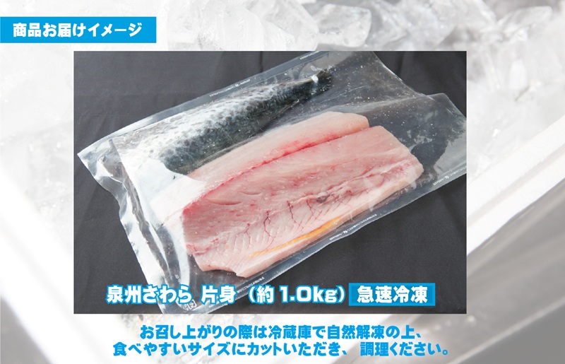 泉州さわら 片身 約1kg 099H3541