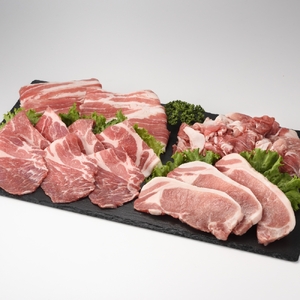 【6回定期便】丸福 肉の定期便 ／ 佐賀牛 豚肉【Z029】