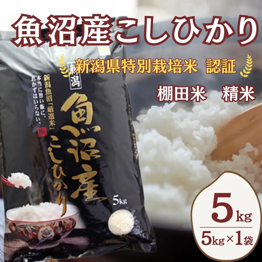 【令和8年 先行予約】魚沼産コシヒカリ棚田米 5kg 佐藤農場 | 新潟県 コシヒカリ おこめ