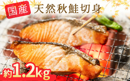 fn-21-008 国産秋鮭（天然）の薄塩切身　大切身8切・中切身15切 約1.2kgセット  【食べ方いろいろ 国産秋鮭切身　大8切・中15切 計約1.2kg】 TRS食品