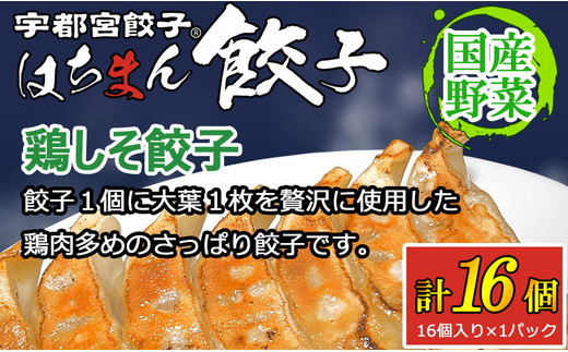 宇都宮餃子 はちまん餃子 鶏しそ餃子 16個 （16個入り×1パック/1個 22g） ｜ 宇都宮餃子 国産野菜 グルメ 宇都宮市 餃子 冷凍 ぎょうざ ギョーザ 野菜 冷凍食品 冷凍餃子 焼き餃子 水餃子