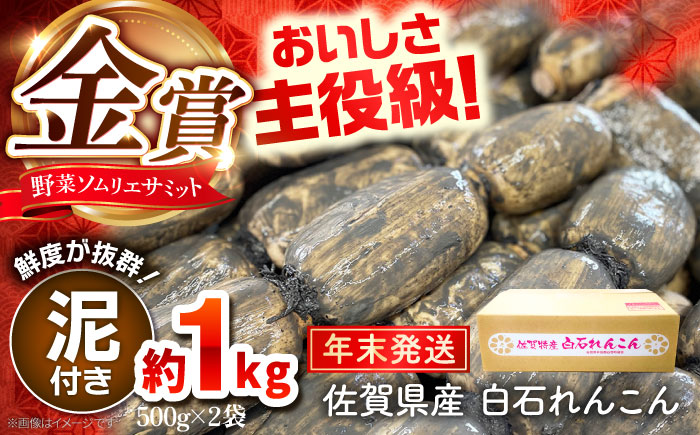 【先行予約】【年末発送】【金賞受賞！】松尾青果のこだわり白石れんこん 約1kg（500g×2袋）【松尾青果】 [IBD017]
