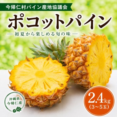 【2026年5月中旬から順次発送】今帰仁村パイン産地協議会 ポコットパイン2.4kg(3～5玉)【配送不可地域：離島】