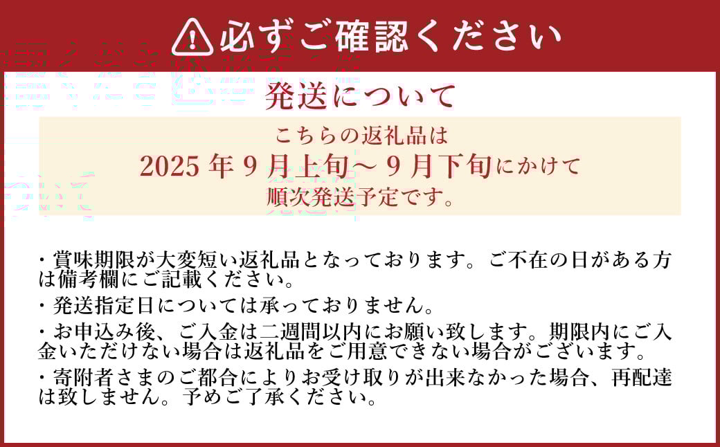 《先行予約》「山之上果実農業協同組合」山之上の梨 豊水 1箱 約2.5kg 5-8玉