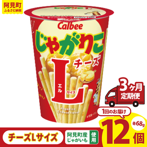【3ヶ月定期便】カルビー じゃがりこ チーズ Lサイズ 66g×12個｜Calbee お菓子 菓子 おやつ おかし ぽてち ポテチ スナック おつまみ ジャガイモ じゃがいも（93-83）