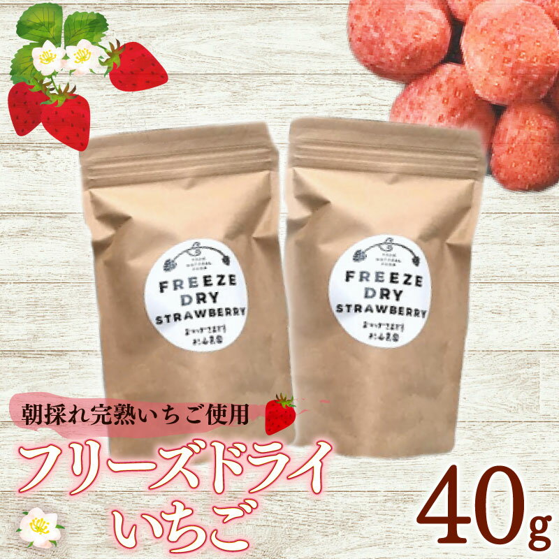 【ふるさと納税】 フリーズドライ イチゴ 40g いちご ストロベリー 苺 フルーツ 果物 乾燥果実 くだもの ドライフルーツ お菓子 トッピング ヨーグルト デザート おやつ 農園直送 食品 健康 美容 アレンジ 甘い おいしい 牧之原市 静岡県