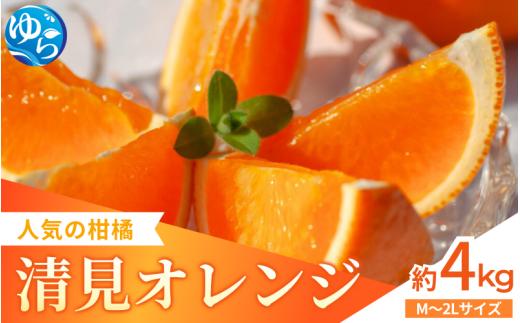 【来シーズン先行予約】家庭用 清見オレンジ 約4kg   ※2026年3月上中旬～順次発送 / 清見 みかん 晩柑 人気 柑橘 スマイルカット  蜜柑 フルーツ 果物 くだもの 食品 人気 おすすめ 送料無料 産地直送 和歌山県 由良町【kzmn013】