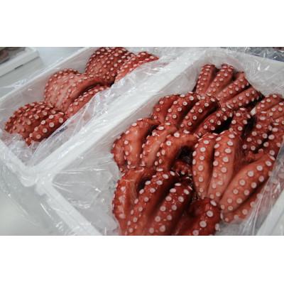 ふるさと納税 増毛町 冷凍柔らか蒸し(ヤナギたこ)1kg |  | 01