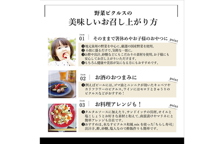 【スピード発送】【リサとガスパール】 ピクルス、ドレッシング、コンポート、シロップなどおまかせ5本セット いずみピクルス NSW