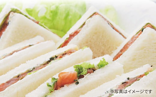 スモークサーモン（切り落とし）100ｇ×5パック　サーモン 小分け スライス 冷蔵 人気