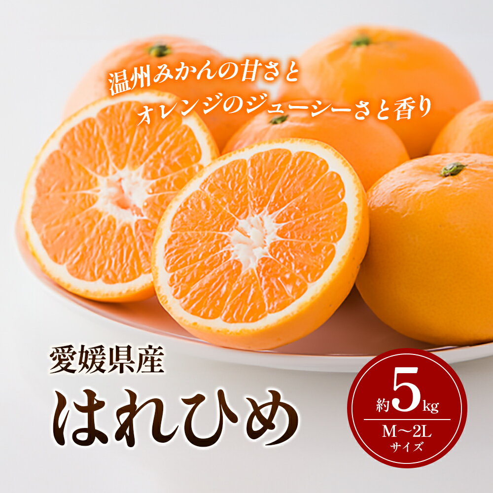 【ふるさと納税】はれひめ M～2Lサイズ 約5kg 申込11月30日まで 12月上旬から順次発送【みかん ミカン オレンジ かんきつ 柑橘 フルーツ 果物 くだもの おやつ スイーツ 甘い ジューシー 愛媛県】　お届け：2025年12月上旬～2026年1月上旬