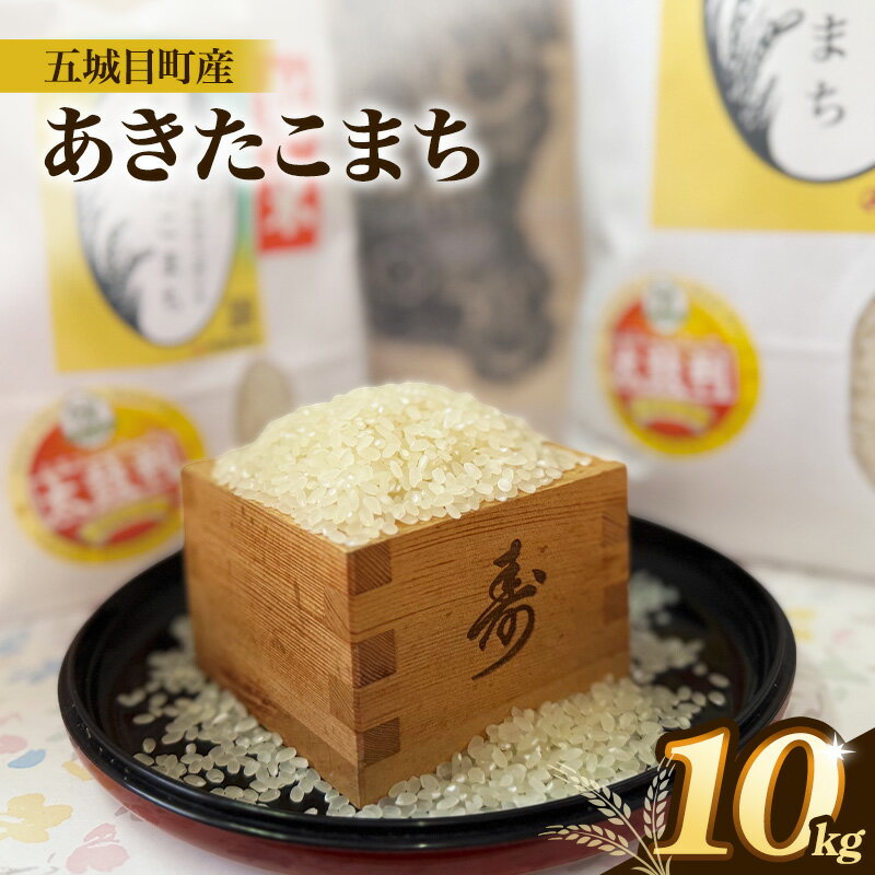 【ふるさと納税】 米 お米 五城目町産 あきたこまち 10kg 秋田県産 白米