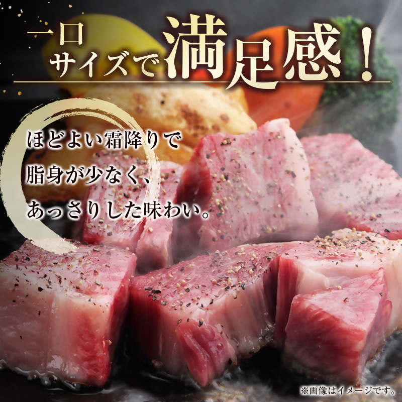 【宮崎牛】訳ありモモサイコロステーキ600ｇ（300ｇ×2パック） Ａ4等級以上 内閣総理大臣賞4連続受賞 W＜2-9＞宮崎県 西都市 牛肉 ビーフ 日本一 訳あり