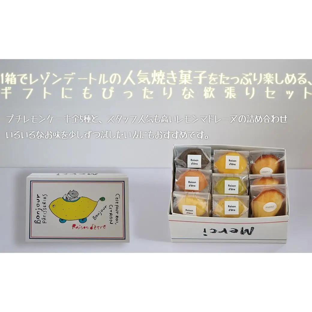 プチレモンケーキ5種6個＆レモンマドレーヌ3個 9個入り詰め合わせセット レモンケーキ マドレーヌ 焼き菓子 洋菓子 スイーツ 詰め合わせ セット アソート 個包装 ギフト