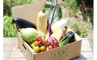 野菜ソムリエが送る 採れたて!良農園 野菜 定期便 年6回:偶数月配送 12～13品 | 野菜ソムリエ 旬野菜 イタリア野菜 野菜セット 詰め合わせ ギフト 贈り物 国産 朝採れ 新鮮野菜 季節の野菜 産直 食品ギフト 手土産 群馬県 前橋市