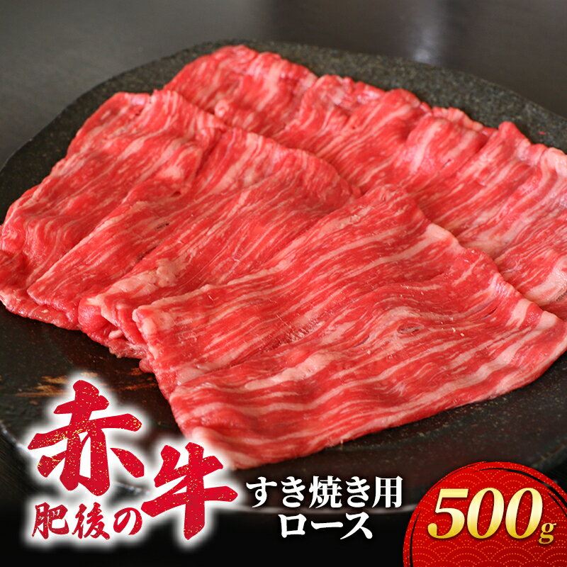 【ふるさと納税】あか牛 すき焼き ロース 500g 肥後の赤牛 肉 お肉 牛肉 牛 すきやき用 すきやき