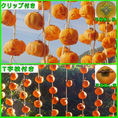 ふるさと納税 紀美野町 吊るし柿用 生渋柿 ひもセット【T字枝付または吊しクリップ付】 約50〜90果、14.5〜15Kg