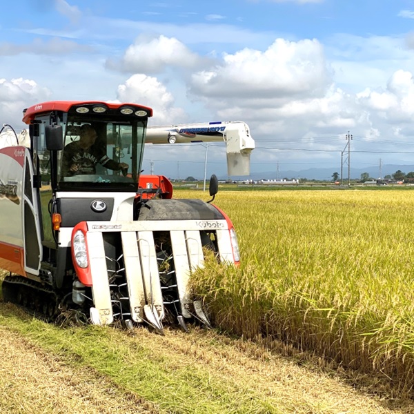 【令和7年産・玄米】グリーンファーム小野寺の特別栽培米ひとめぼれ10kg　※10月中旬頃から順次配送予定 【玄米】ひとめぼれ10kg