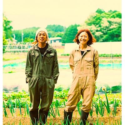 ふるさと納税 原村 季節の変り野菜セット(Lサイズ) |  | 02