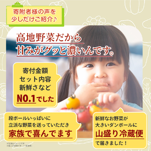 MS-03　新鮮朝採れ野菜セット　お手頃セット頒布会（計3回）