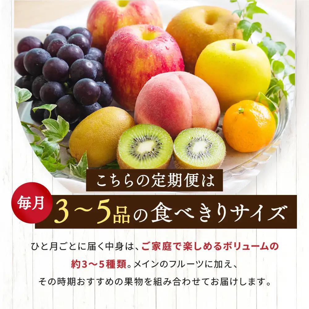 【定期便10回Sサイズ】 フルーツ セット ( 約3 ～ 5品 × 10ヶ月 ) ｜フルーツ