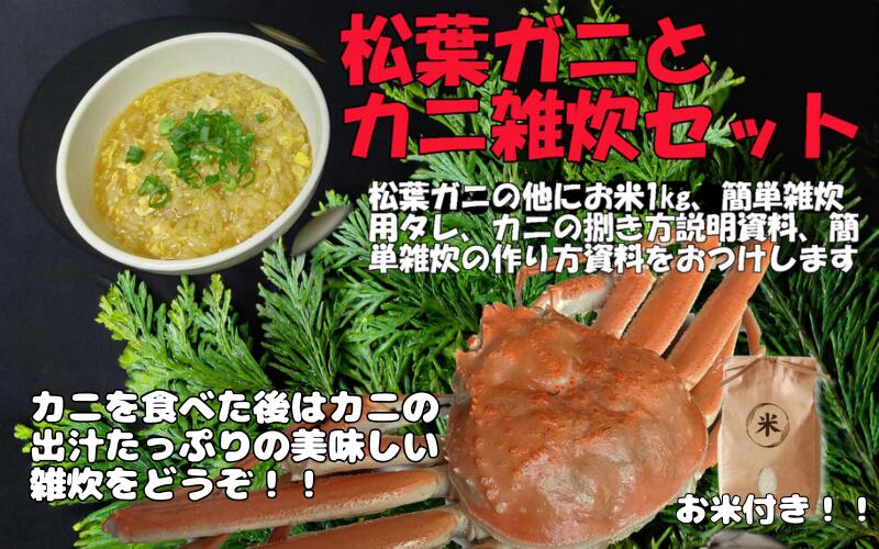 【ふるさと納税】岩美町特産 茄で松葉ガニ簡単雑炊セット｜鳥取 松葉がに カニ お米付き 雑炊※お届けは2026年11月～【24024】