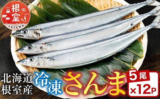 D-30002 【北海道根室産】冷凍さんま60尾