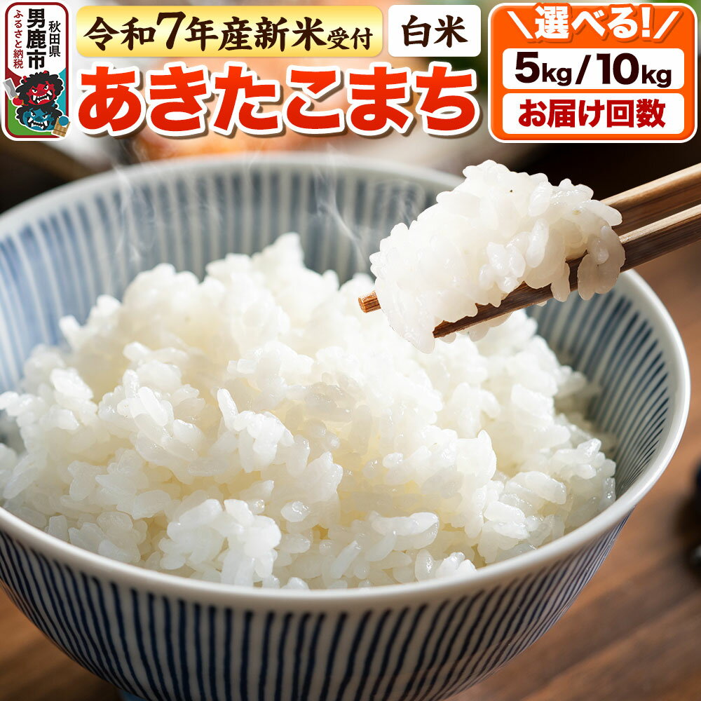 【ふるさと納税】＜令和7年産新米受付＞【白米】あきたこまち 5kg／10kg【選べる容量・お届け回数（1回〜定期便）】