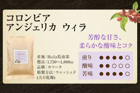 コーヒー豆 コロンビア アンジェリカ ウィラ 100g お試し 自家焙煎 ドリンク 飲料