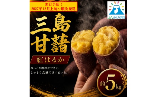【予約受付中2027年12月上旬～順次発送】 三島甘藷 約 5kg 紅はるか 山北印 さつまいも さつま芋 産地直送 野菜 冬野菜 焼き芋 芋 やきいも ヤキイモ 人気 おやつ 上品な甘み 香り デザート秋 旬 生芋 静岡県 三島市 JAふじ伊豆
