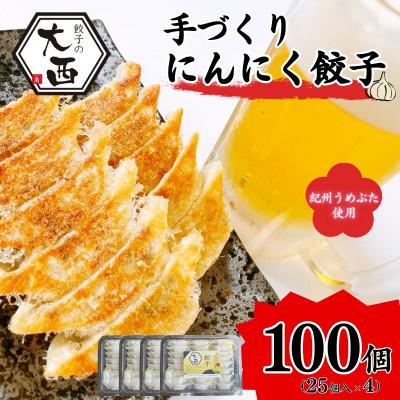 ふるさと納税 田辺市 にんにく餃子セット 計100個(25個入り×4パック)【gyz014】