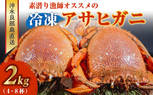 ■沖永良部島直送！素潜り漁師オススメの冷凍アサヒガニ 2kg（4～8杯）　W030-008u