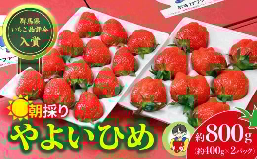 いちご やよいひめ 2026年いちご品評会金賞受賞 400g × 2パック 計800g｜イチゴ 苺 高品質 たっぷり 新鮮 完熟 旬 ストロベリー 高級 産地直送 果汁 甘い あまい 人気 高評価 高糖度 ごほうび プレゼント あすかファーム 群馬県 前橋市