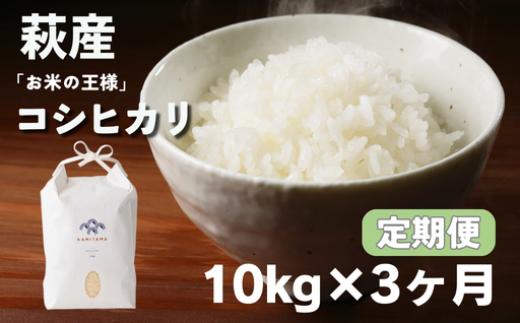
            定期便 3か月 コシヒカリ 令和7年 10kg 米 コメ こめ 萩産 KAMITAMA　｜HG0T0585
          