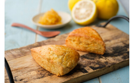 ウフフおすすめスコーン２０個セット