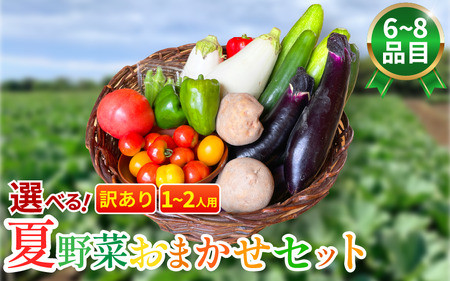 訳あり 野菜 夏野菜 セット 6～8品目 1人～2人用 詰め合わせ 野菜 夏野菜 野菜 夏野菜