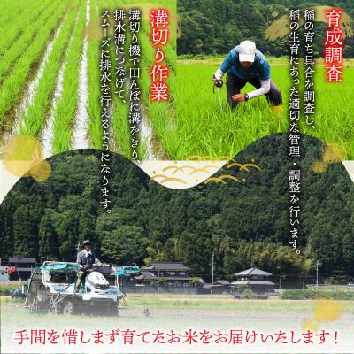 ふるさと納税 小浜市 令和7年産新米　福井県産ハナエチゼン白米　10kg |  | 02