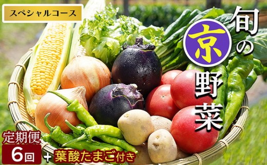 【9月発送】野菜定期便 6回 葉酸たまご付 7~10種類 旬の京野菜 スペシャルコース 詰め合わせ 季節 旬 野菜 やさい 野菜便 国産 国産野菜 新鮮 おまかせ 産地直送 春野菜 夏野菜 秋野菜 冬野菜 葉物 果菜 根菜 カット野菜 京都府産 亀岡市産 京丹波町産 季節の野菜 九条ネギ なす 唐辛子 サラダ トマト 京水菜 壬生菜 聖護院大根 聖護院かぶら 里いも つるむらさき 送料無料 京都府