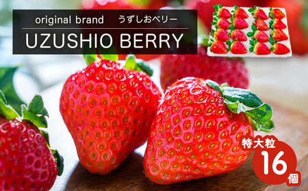 【朝摘みをお届け！】【2025年12月中旬頃より順次発送】 フルーツガーデンやまがたのいちご「うずしおベリー」特大粒16個 【数量限定】 いちご フルーツ 果物 苺 イチゴ 旬の果物 季節の果物 鳴門の果物 季節のフルーツ 旬のフルーツ 鳴門のフルーツ 旬のいちご 鳴門のいちご