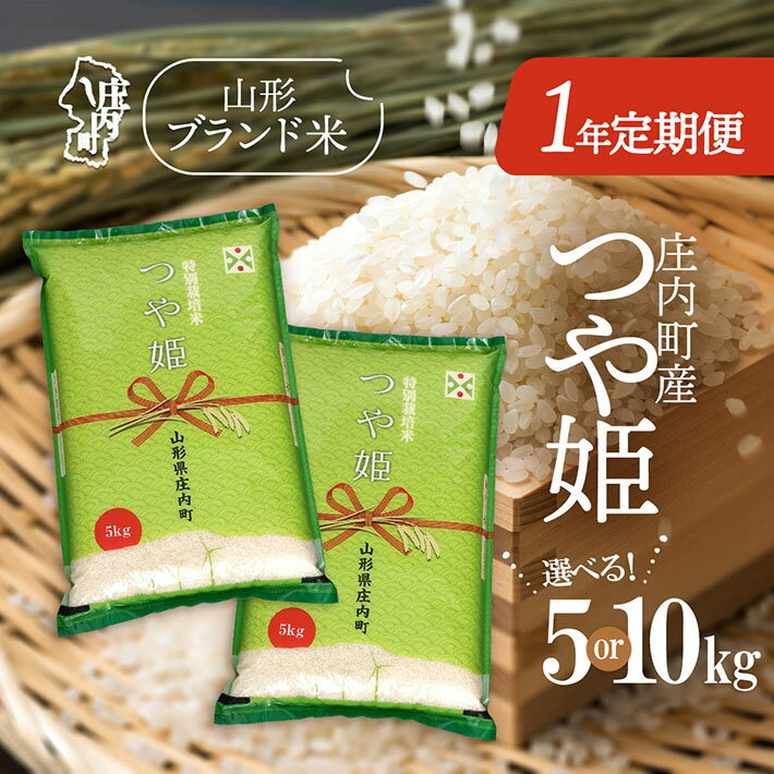 【ふるさと納税】＜11月下旬開始＞庄内米1年定期便！つや姫 選べる内容量 5kg or 10kg（入金期限：2025.10.25） ブランド米 2025年産 ふるさと納税 米 定期便 山形県
