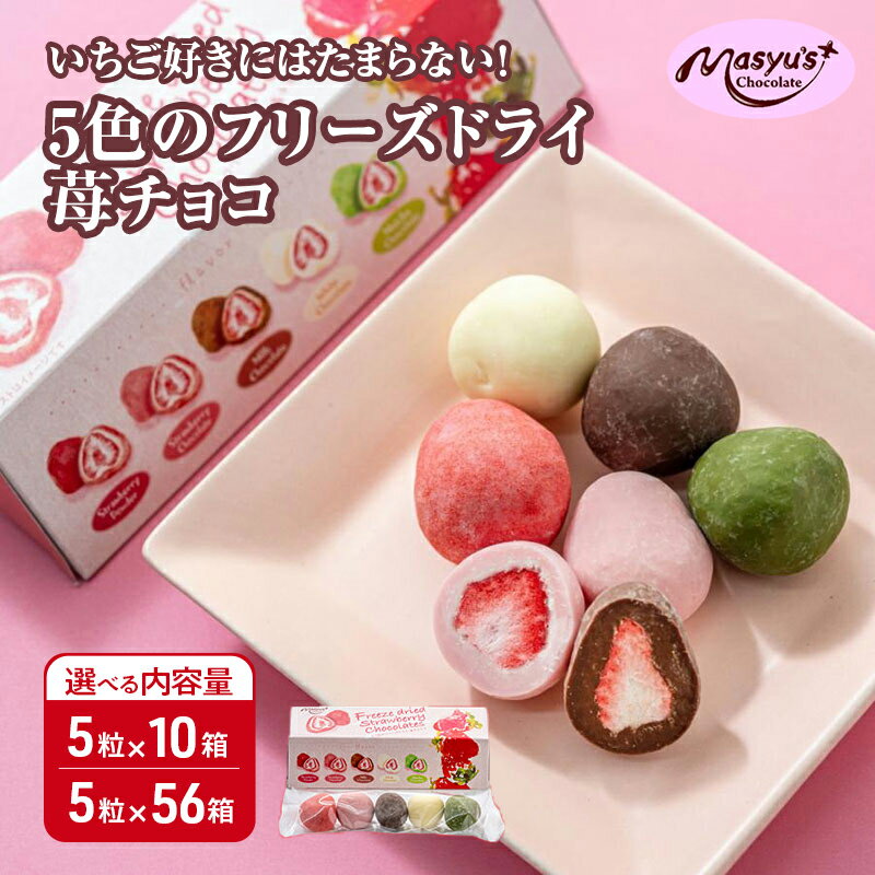 【ふるさと納税】5色の苺チョコ 選べる内容量 5粒×10箱・5粒×56箱 11月～3月発送 チョコレート チョコ スイーツ お菓子 おかし 苺 ミックス ミルクチョコ ホワイトチョコ 苺チョコ 抹茶チョコ ギフト プレゼント 兵庫県 伊丹市　お届け：2025年11月～2026年3月に発送