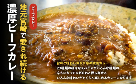 カレーショップばん　宮崎老舗カレー詰合せ6食セット チキンボール 欧風カレー スパイス