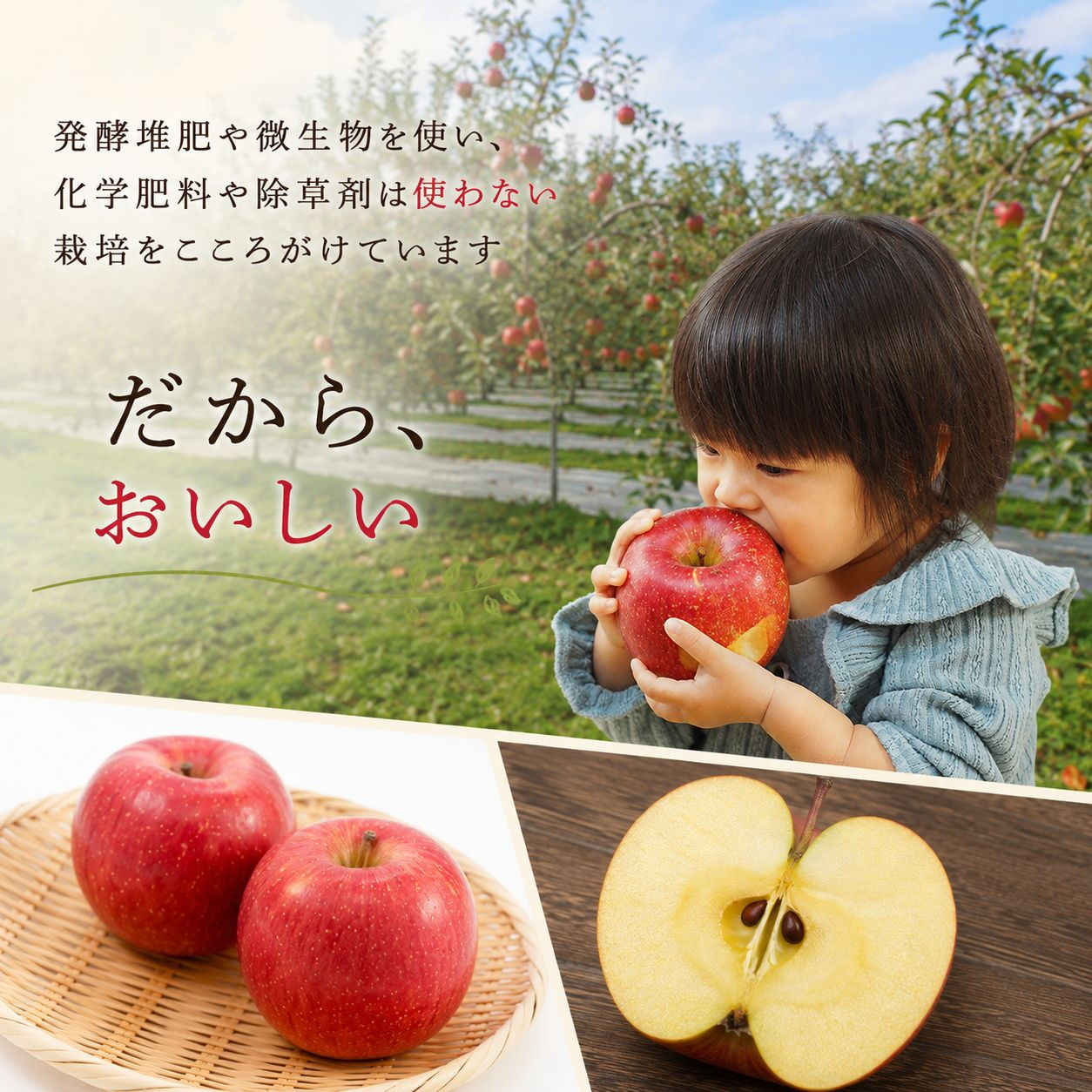 りんご 完熟 ふじ 5kg 箱｜【11月下旬より順次お届け】リンゴ 林檎 フルーツ 果物 栃木県矢板市産