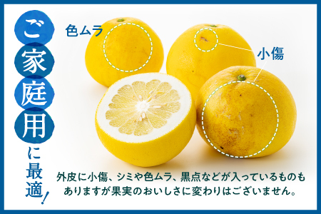 AA092.【予約受付・期間限定商品】福岡柑橘王国・文旦（２０２４年２月～３月配送予定）