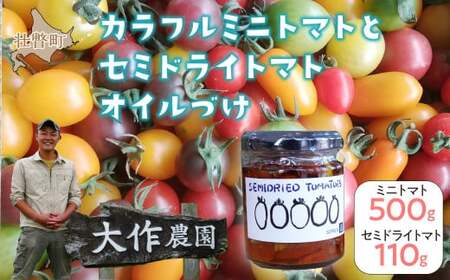  〈2026年7月上旬よりお届け〉北海道壮瞥産 大作農園の「カラフルミニトマト」約500g（5種以上）とセミドライトマトオイル漬け1瓶（110g）のセット【 ふるさと納税 人気 おすすめ ランキング トマト とまと ミニトマト アイコ オイル漬け 野菜 甘い パスタ サラダ 北海道 壮瞥町 送料無料 】 SBTR008